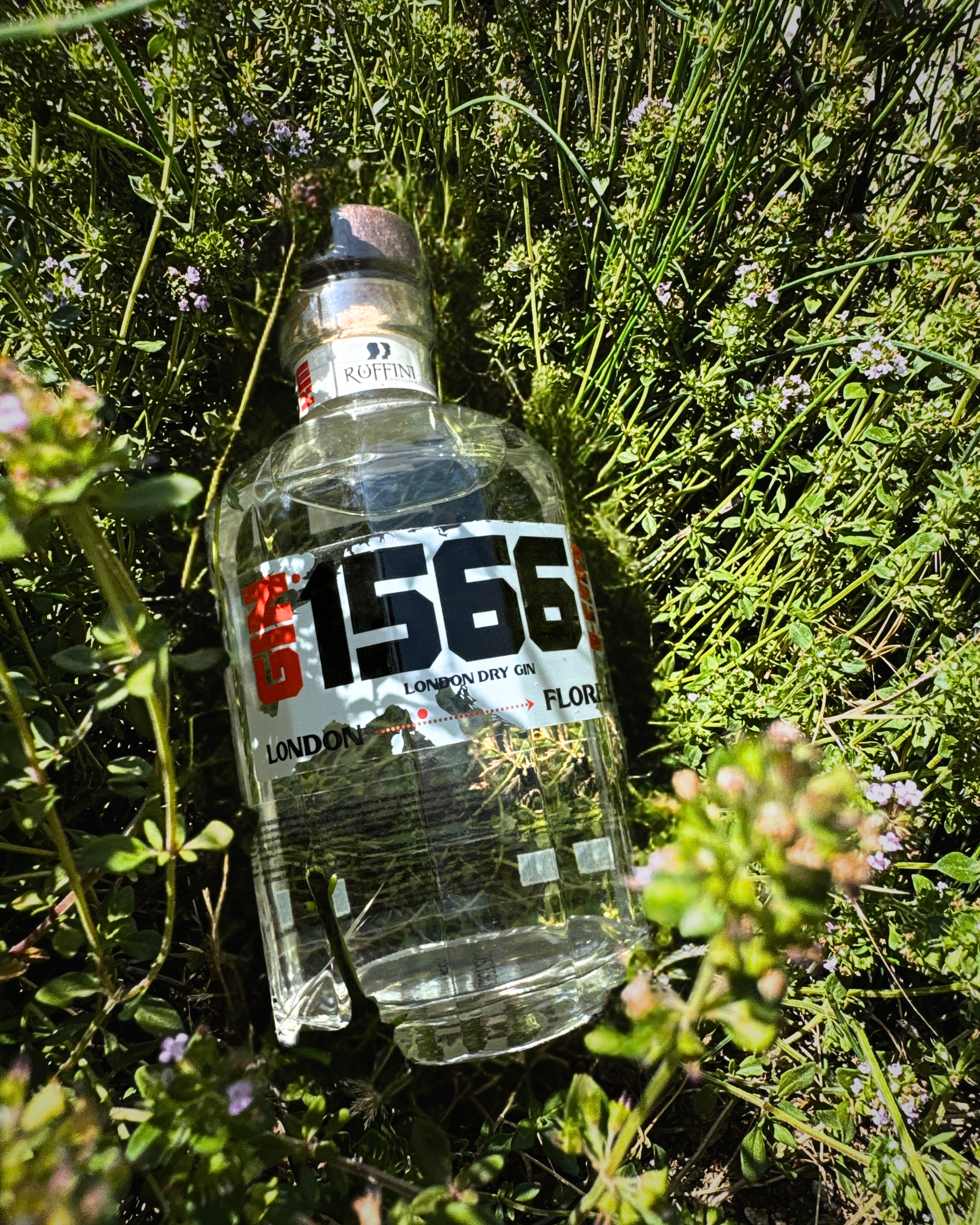 GIN 1566 KM